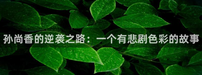 歪歪漫画全文免费观看在线：孙尚香的逆袭之路：一个有悲剧色彩的故事